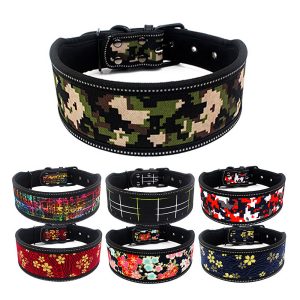 Dog Collars