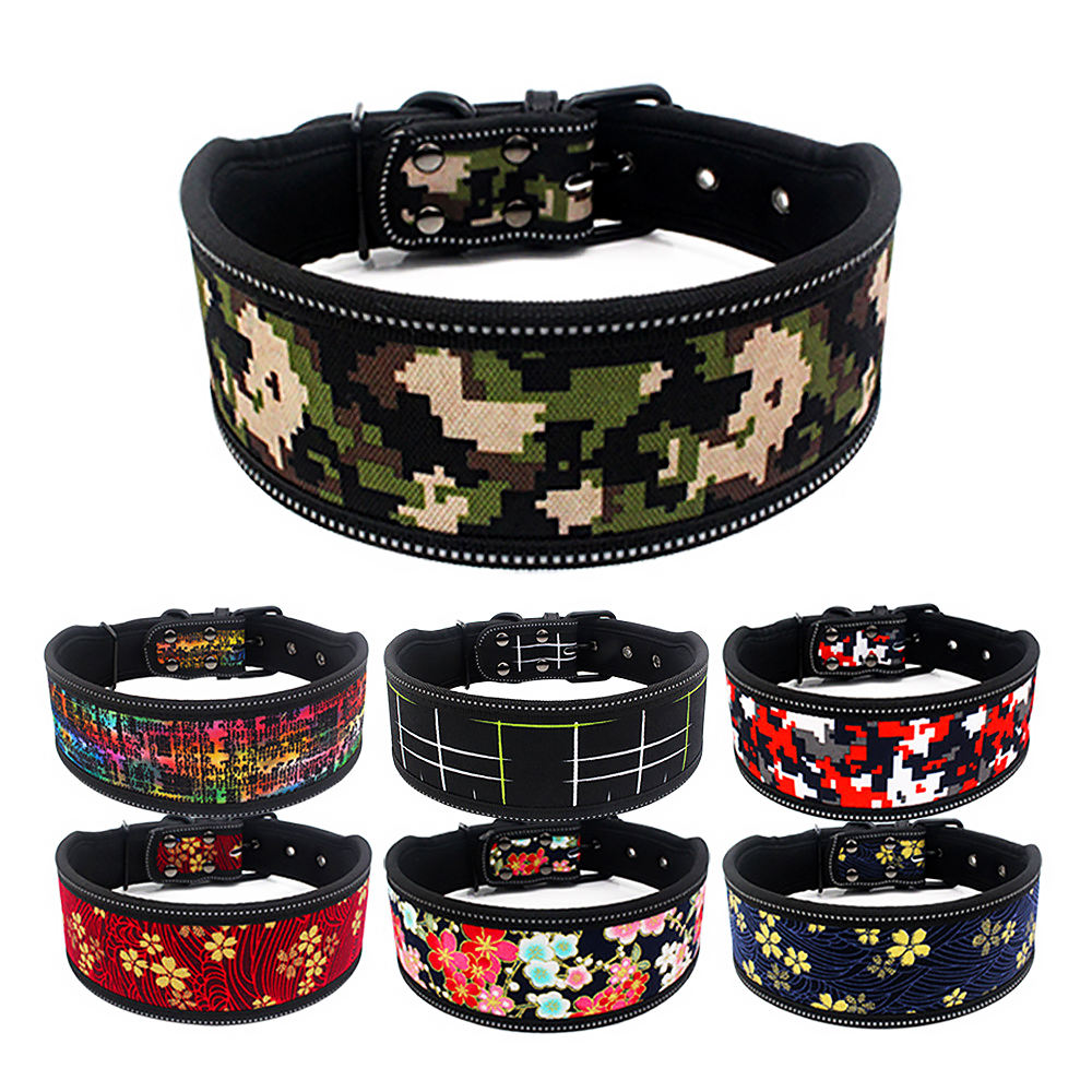 Dog Collars